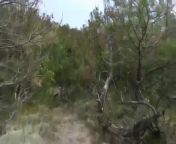 Жена делает минет на природе